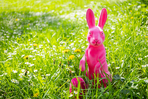 A pink rabbit and its egg in the middle of a meadow. Easter concept.