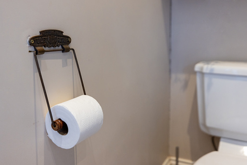 Roll of toilet paper in a home bathroom with white walls.