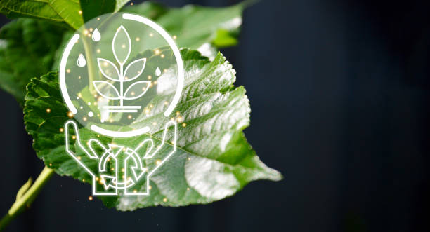 istock Concept of environmental protection, waste reduction, reuse, reuse and maintenance (4R) 1457730362