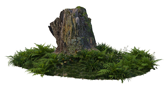 3D render stumps and plants on white background