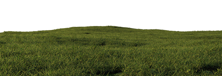 3d render Meadow on a white background