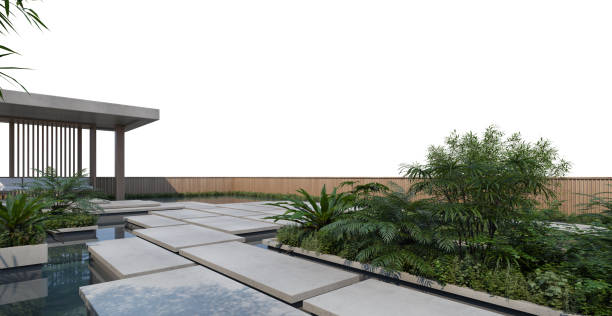 istock 3D render garden decorated with tropical plants on white background 1457739213