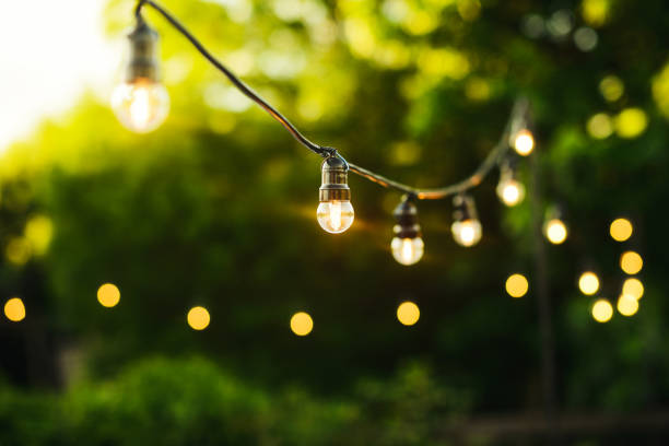 istock Hanging light bulb lamps with natural background 1457739384