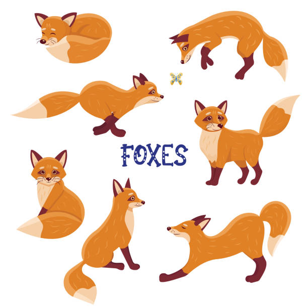 Renard Vector 1 800+ Renard Roux Stock Illustrations, graphiques vectoriels libre de ...