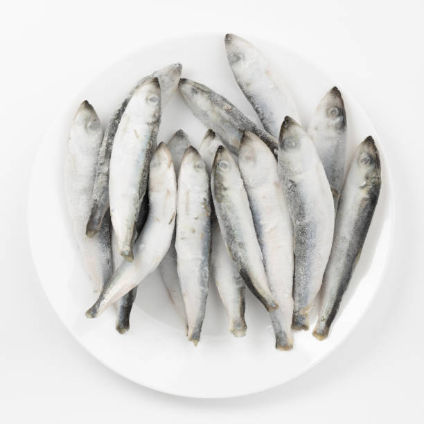 istock Raw sea frozen fish on a white plate. 1457742415