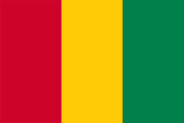 ilustraciones, imágenes clip art, dibujos animados e iconos de stock de bandera de guinea ilustración de fondo archivo grande - guinea bissau flag