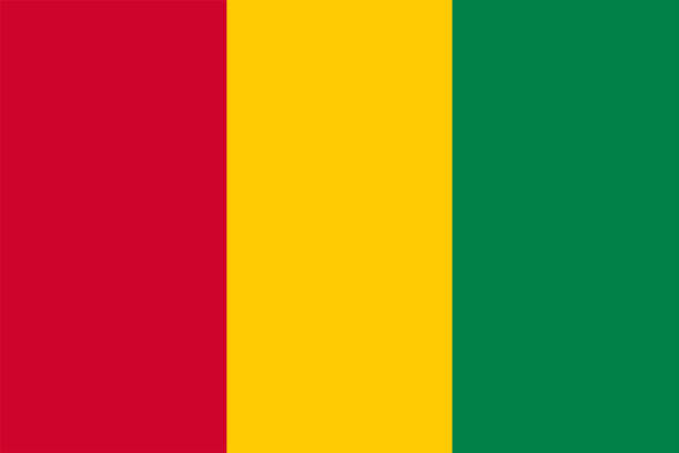 flaga gwinei ilustracja tła duży plik - guinea bissau flag stock illustrations