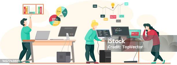 Programmer Engineering And Coding Programmer Working On Web Development ...