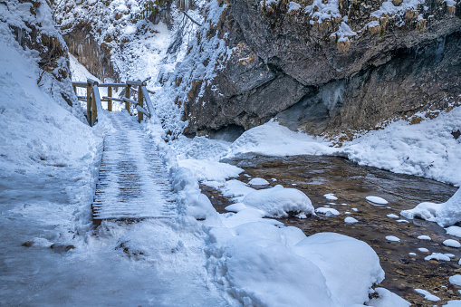 Snowy winter landscape with a wooden bridge on tourist trail through a narrow gorge with wild stream. The Mala Fatra national park in Slovakia, Europe.