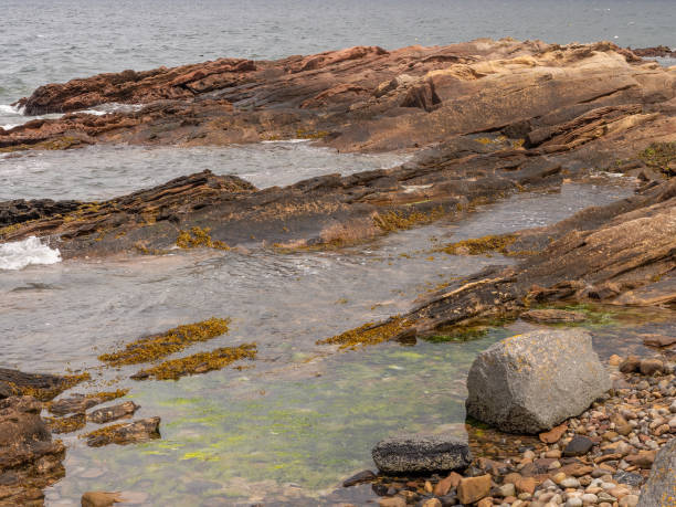 istock Impressive and unusual rock formations at Porthmahomack Beach, Highlands Scotland, UK 1457745874