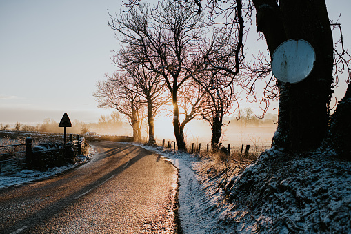 A rural country road during winter. Frost lines the road as the sun rises / sets. A mirror is fastened to the trunk of a bare tree to aid traffic using the road.