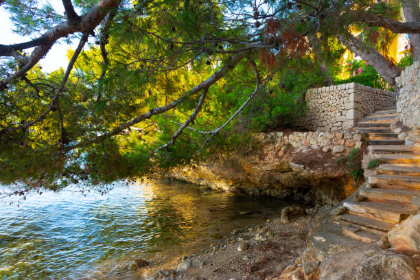 Access stairs to the Xinxell cove, among pine trees, moored sailboats and the Sa Torre island with its tower
