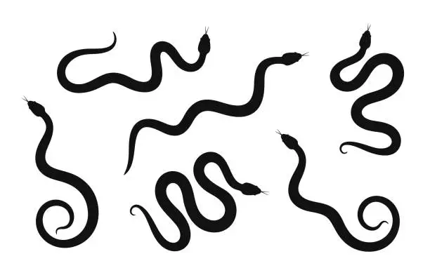 Vector illustration of Snake silhouette set. Isolated snake silhouette on white background