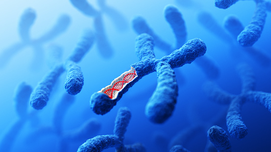 Chromosome. DNA. Concept. 3D Render