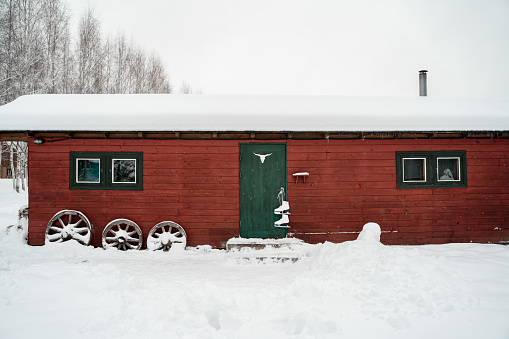 Red barn,green door, hanging white skates. Deer elk bull antlers drawing.Snowy cold winter in countryside.Skating,having fun,laughing.Stylish clothes,coat,hat.Romantic love story,village date,weekend.