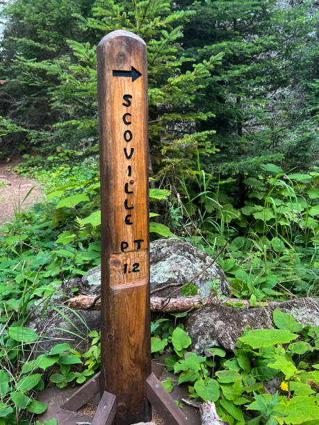 sinal de marcador de trilha para scoville point, localizado dentro do parque nacional isle royale, na península superior de michigan - direction arrow sign road sign escape - fotografias e filmes do acervo