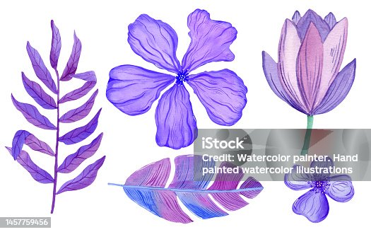 istock Watercolor purple tropical flowers and leaves isolated on white background. Botanical illustration set. 1457759456