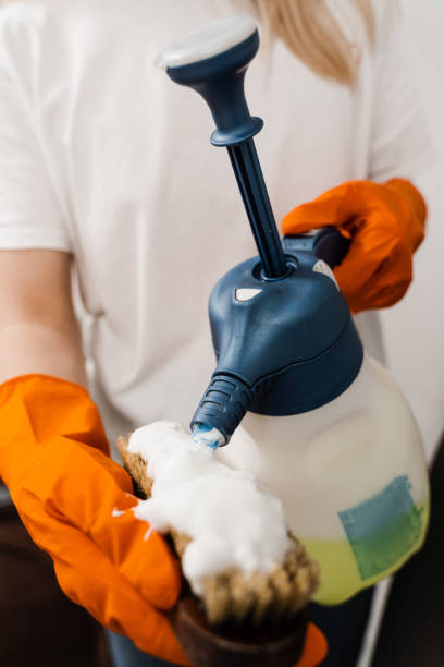 istock Housekeeper is pouring detergent on brush for dry cleaning using extractor machine. Process of dry cleaning for removing stains and dirt from couch at home. Professional cleaning service. 1457759882
