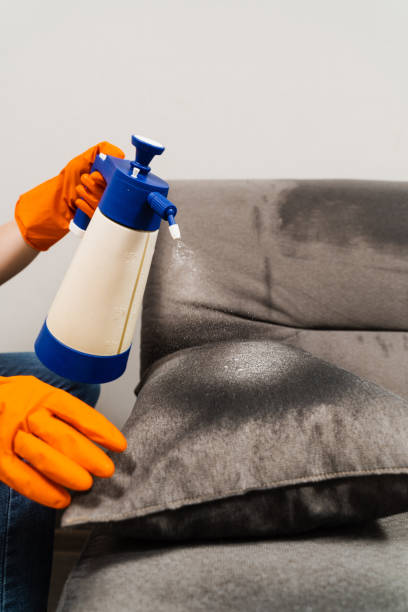 istock Spraying detergent on couch for dry cleaning using extractor machine. Process of dry cleaning for removing stains and dirt from couch at home. Professional cleaning service. 1457760029