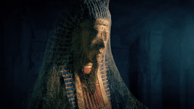 Pharoah Figure In Dusty Tomb