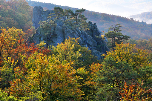 Autumn scenery near Dovbush in Ukrainian Carpathian mountains