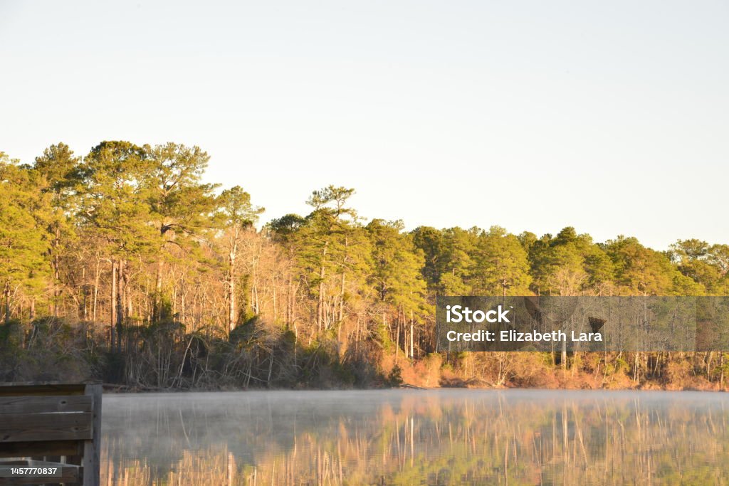 Sun Rising Over Water And Pine Trees 2214 Tar Kiln Drive, Fayetteville, North Carolina, 28304 Backgrounds Stock Photo