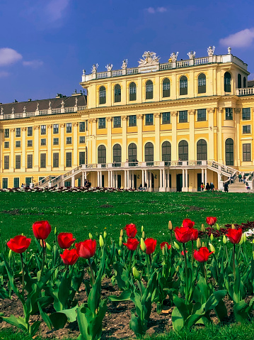 Vienna -Austria - Spring -2019: Red flowers in front of the Schönbrunn Palace.