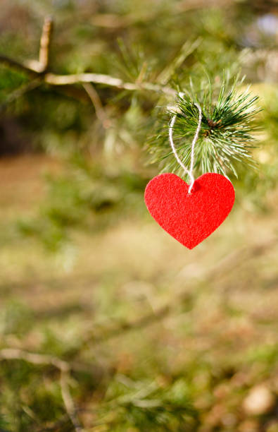 Wooden hand holding heart isolated on white background