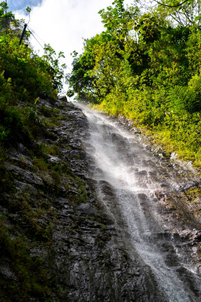 하와이의 폭포 - oahu stream hawaii islands tropical rainforest 뉴스 사진 이미지