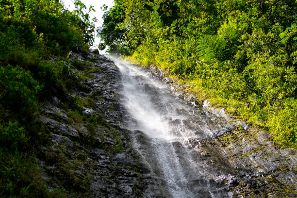 하와이의 폭포 - oahu stream hawaii islands tropical rainforest 뉴스 사진 이미지