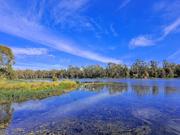 Shepparton,  Victoria, Australia Lake in the center of the City in the Northern Country murray darling basin stock pictures, royalty-free photos & images