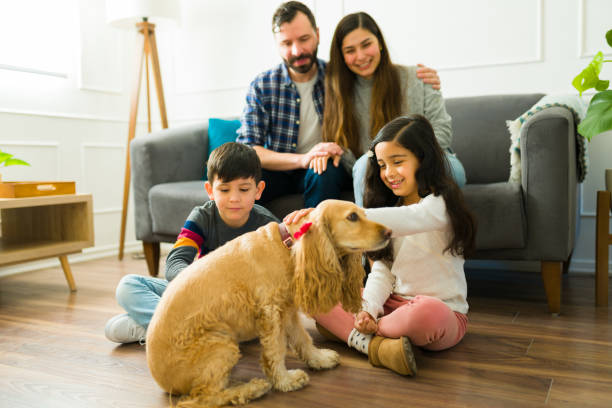 istock Happy kids petting a cute cocker spaniel dog 1457774489