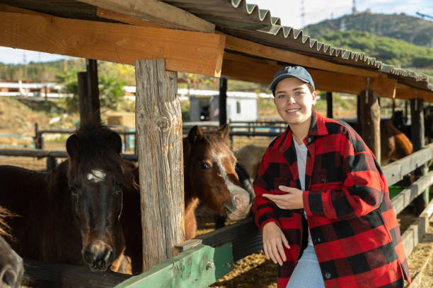 istock Caring young female stable keeper checking and stretching hand to stallions near paddock at ranch outside 1457775146
