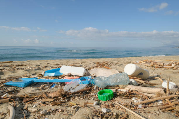 istock Plastic debris waste pollution trashed on sea coast ecosystem,environment nature contamination 1457786063