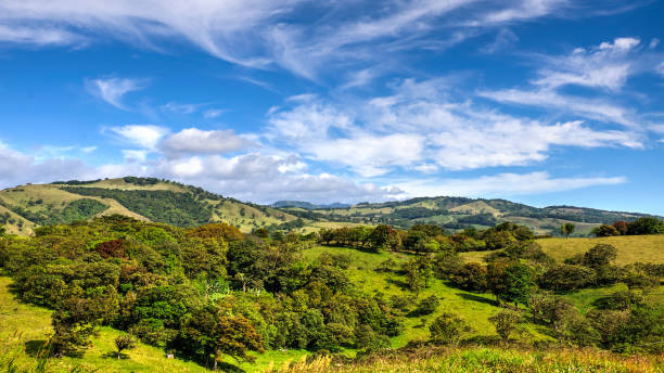 perfect sunny day over the monteverde hills and coffee plantations. costa rica - monteverde cloud forest imagens e fotografias de stock