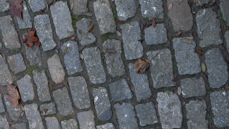 blue paving stones