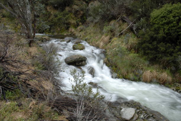 istock Swindlers creek Mount Hotham Victoria. 1457788680