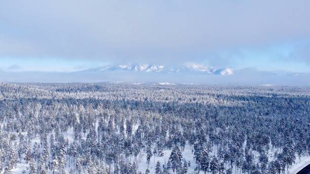 istock Winter scenery in Northern Arizona 1457796506
