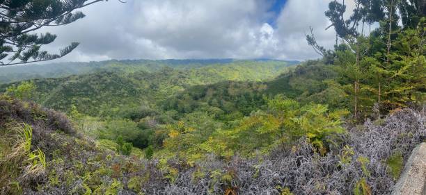 istock Haleiwa, North Shore, Oahu 1457798176