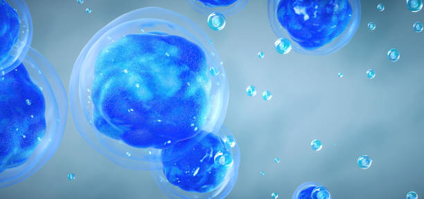 istock 3D rendering of human cell or embryonic stem cell microscope background 1457802589