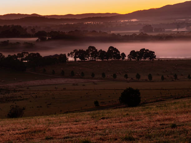 istock Early morning fog 1457803522