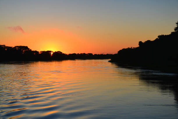 Sunrise on the rainforest-lined Guaporé-Itenez river stock photo