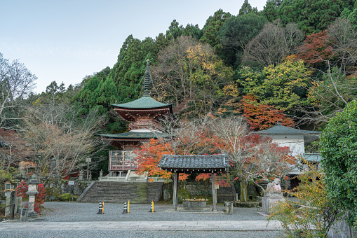 Kyoto, Japan - November 25, 2022 : Autumn of Arashiyama Horin-ji Temple