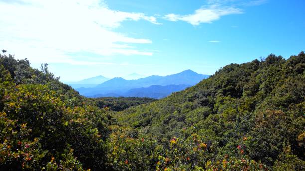 istock Mountains and forest in the Bandung, Indonesia. 1457832714