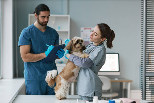 Veterinary Assistant Diploma Program