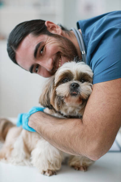 istock Young successful vet clinician bending over yorkshire terrier 1457845496
