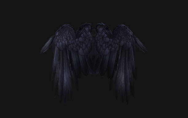 3d Illustration Crow wing, Demon Wings, Black Wing Plumage Isolated on Black Background