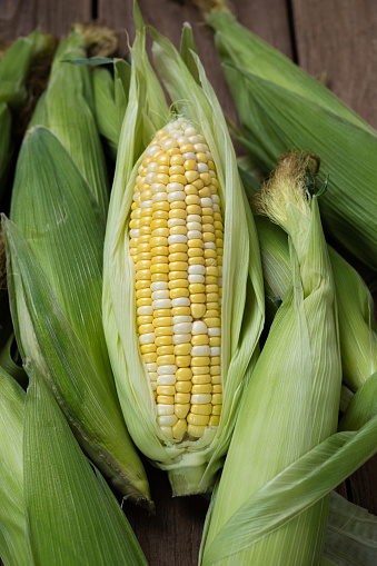 healthy and fresh tasty vegetables corn
