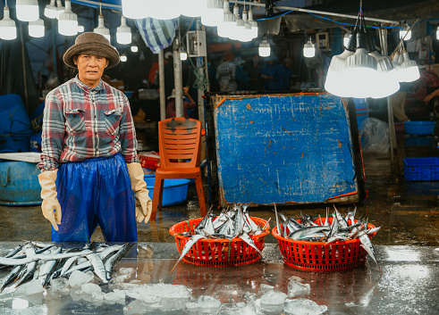 woman with basket full of fish selling fish at the market in Hoi An, Vietnam