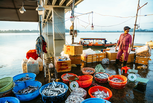 female vendor at fish market in Hoi An, Vietnam\nHoi An, Vietnam